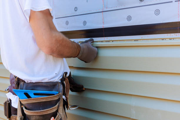 Best Custom Trim and Detailing for Siding  in Pine Level, NC